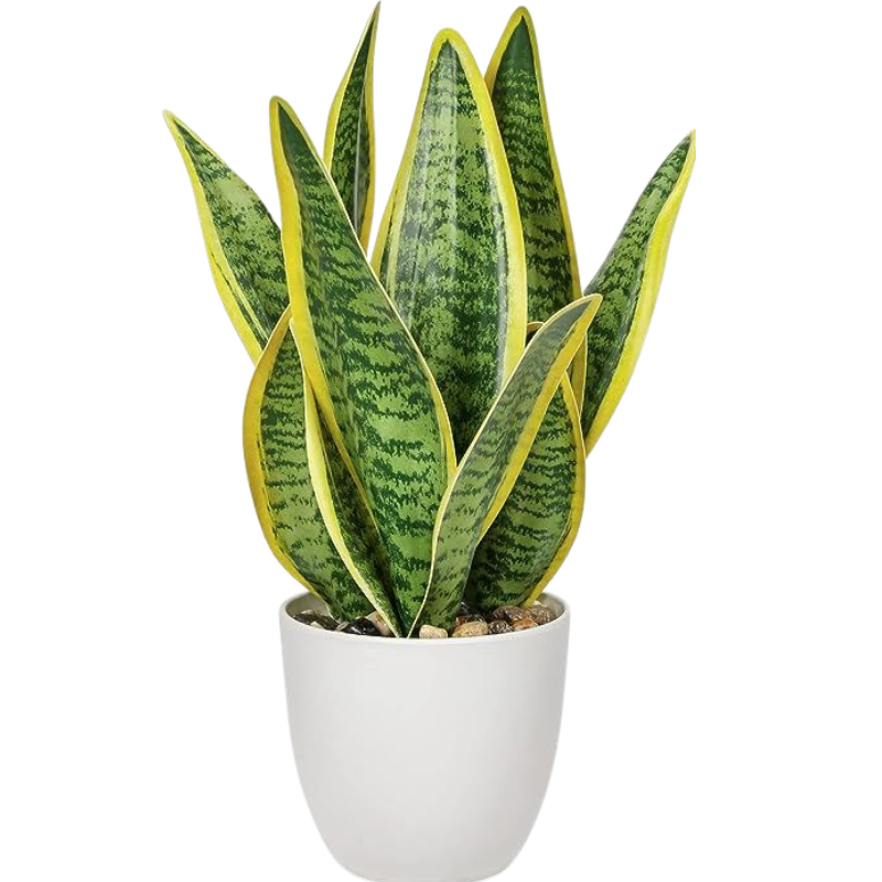 Untitled design (15)