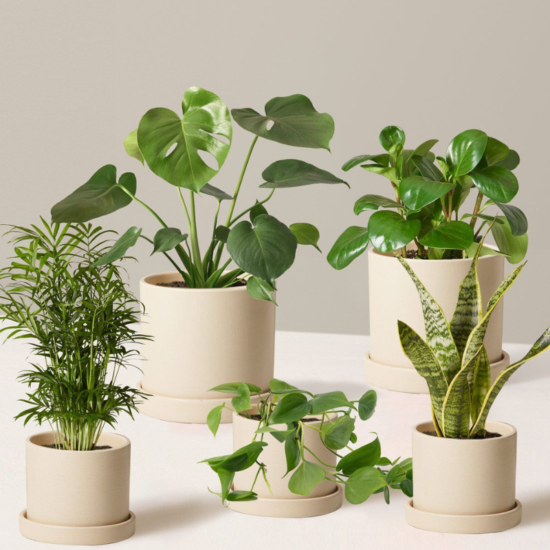 Untitled design (25)