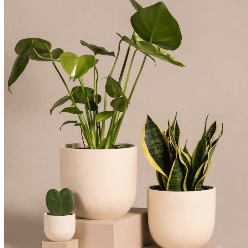 Untitled design (26)